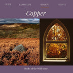 A square cover-style graphic for a photography guide or book titled "Copper" under the series "Books of the Wild Moor." The top band is muted purple with navigation labels "GUIDE," "LANDSCAPE," "SEASON," and "SNIPPET," and the word "Copper" in large white script.