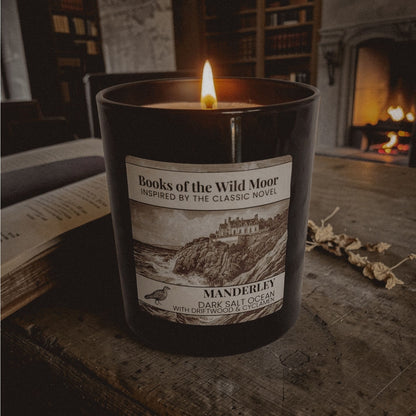 Rebecca Manderley Candle Flame