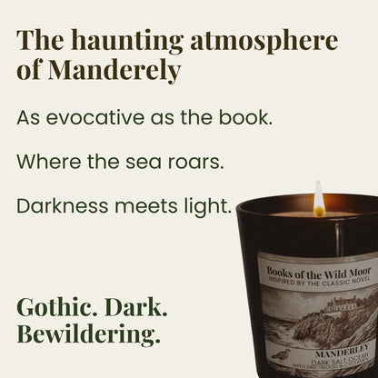 Rebecca Manderley Candle Haunting Book