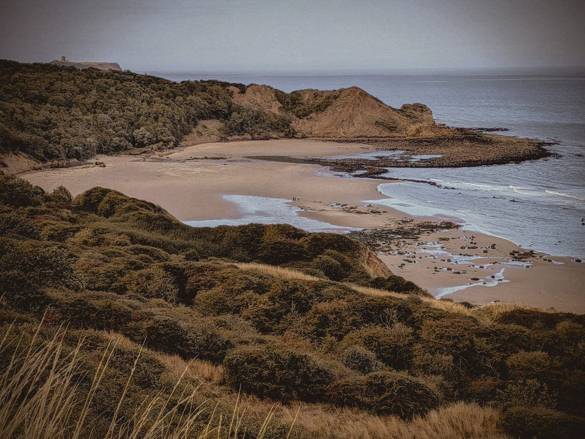 A scenic coastal landscape with a sandy cove, rocky shoreline, ocean water, and dense brown and green vegetation in the foreground under an overcast sky.