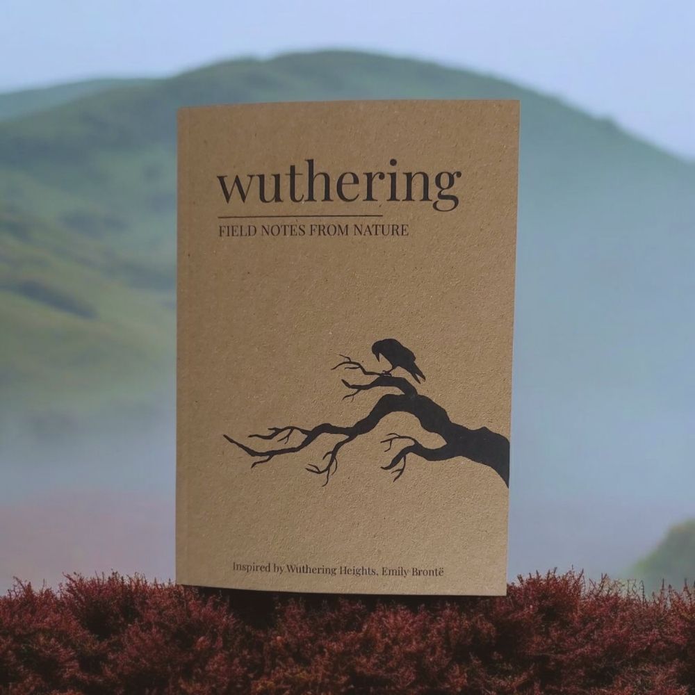 Wuthering notebook in mist