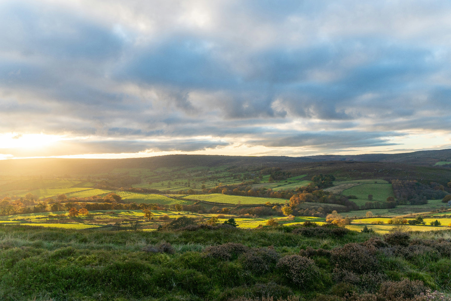 Yorkshire Moors Landscape
